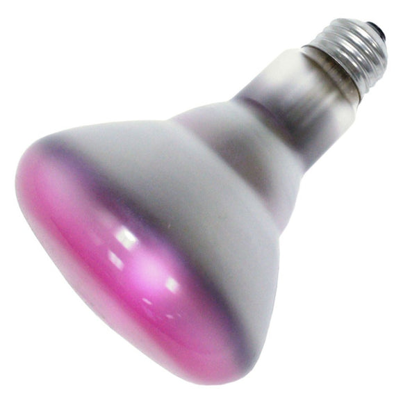 SLI - Sylvania - 75Watts - Flood Light Pink Bulb - Medium Base - 120Volts