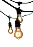 Bulbrite -  48FT - String Light Set with Nostalgic A19/15Pcs Bulbs - Medium E26 Base - 120V