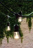 Bulbrite -  48FT - String Light Set with S14/15Pcs Bulbs - Medium E26 Base - 120V